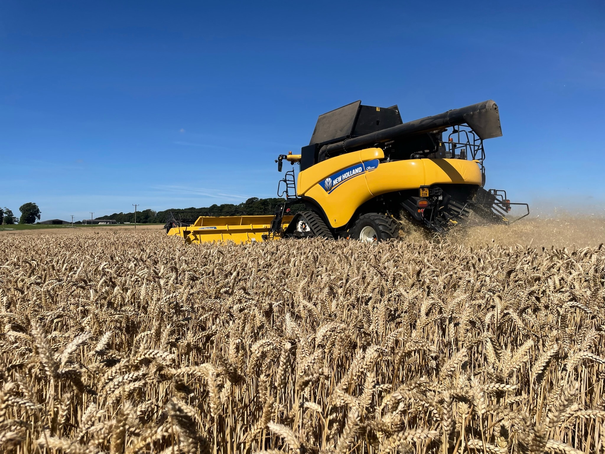 Arable cereal farming at Balbirnie Home Farms