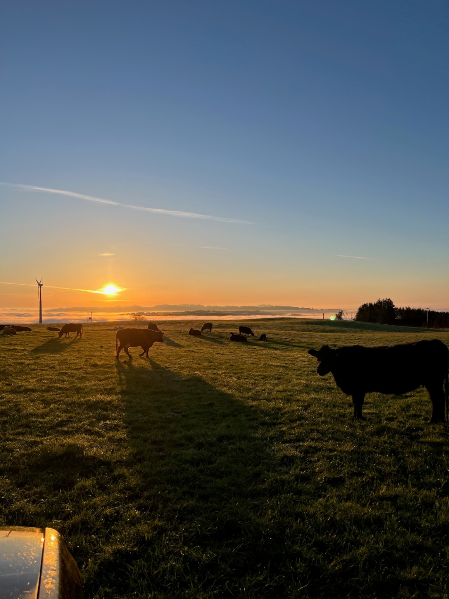 Arable farming at Balbirnie Home Farms