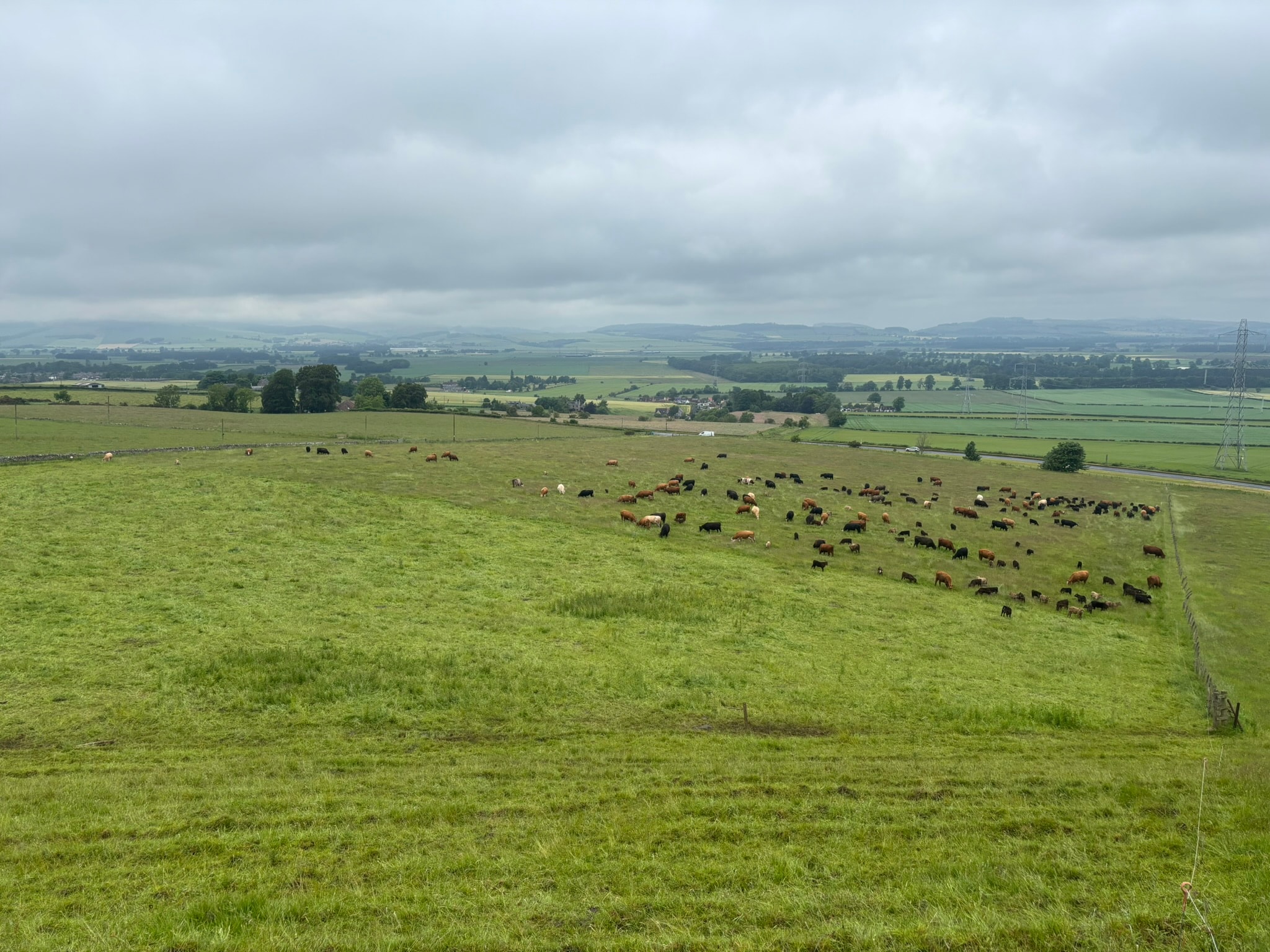 Aerial view of farmland at Balbirnie Home Farms, Fife