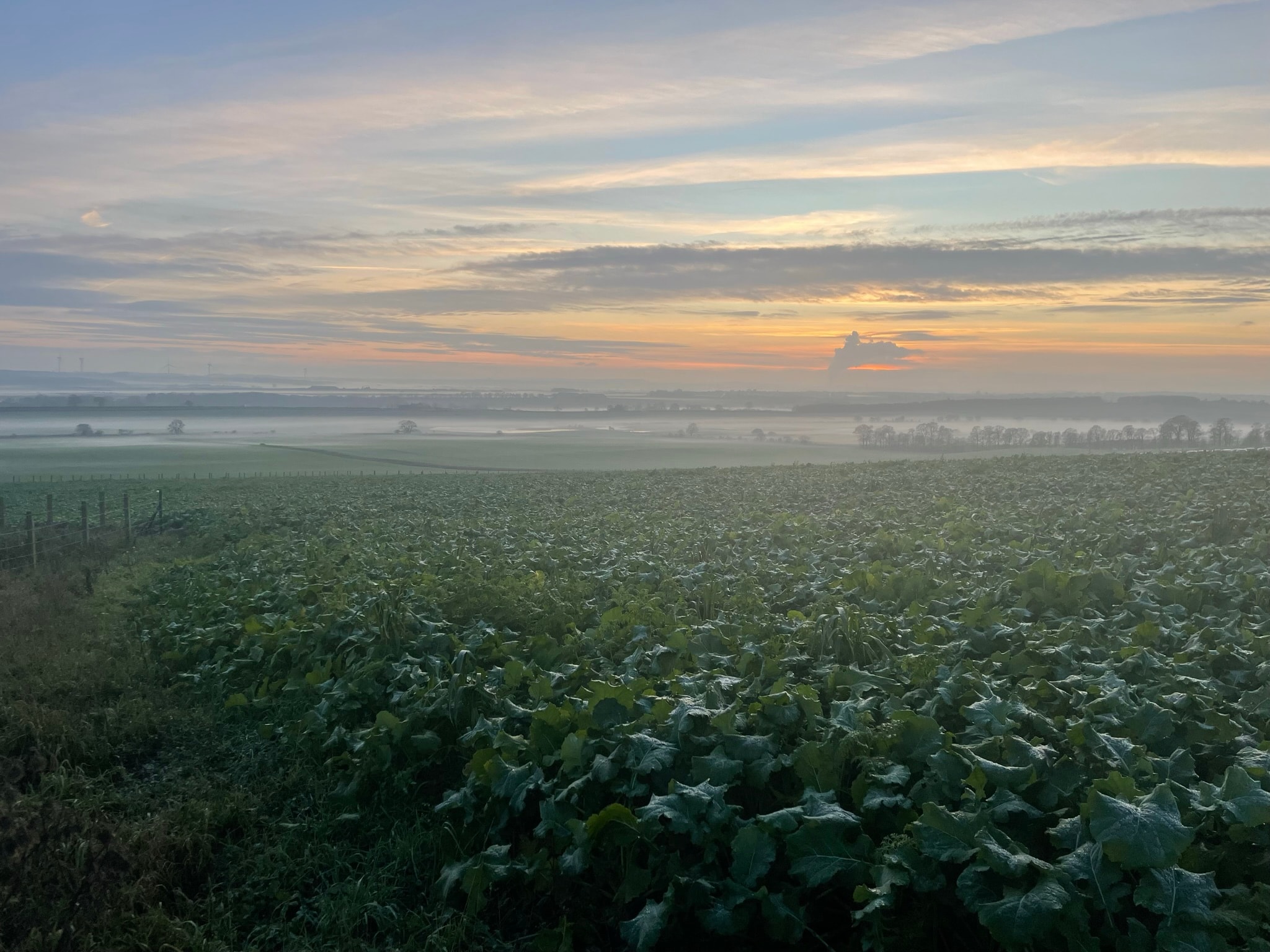 Wide panoramic view of Balbirnie Home Farms estate, Fife — replace with your own photo